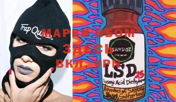 индика Фурманов