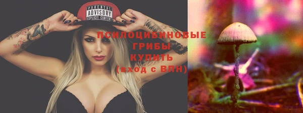 тгк Зеленодольск