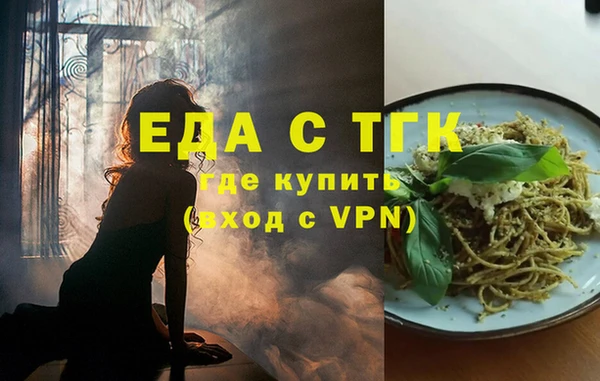 индика Фурманов