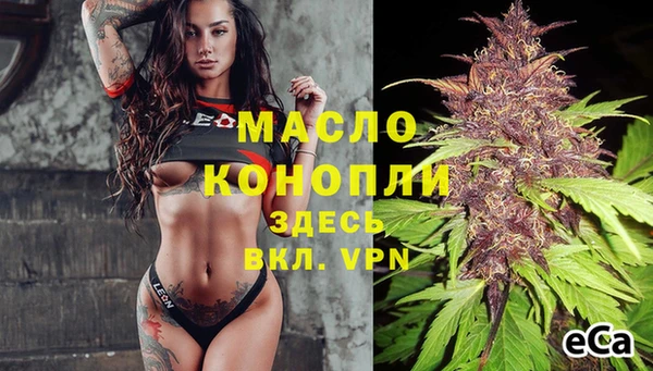 индика Фурманов