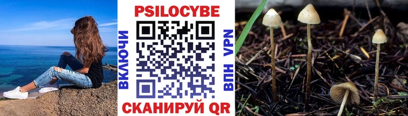 магазин продажи Углич KRAKEN как войти Псилоцибиновые грибы Cubensis