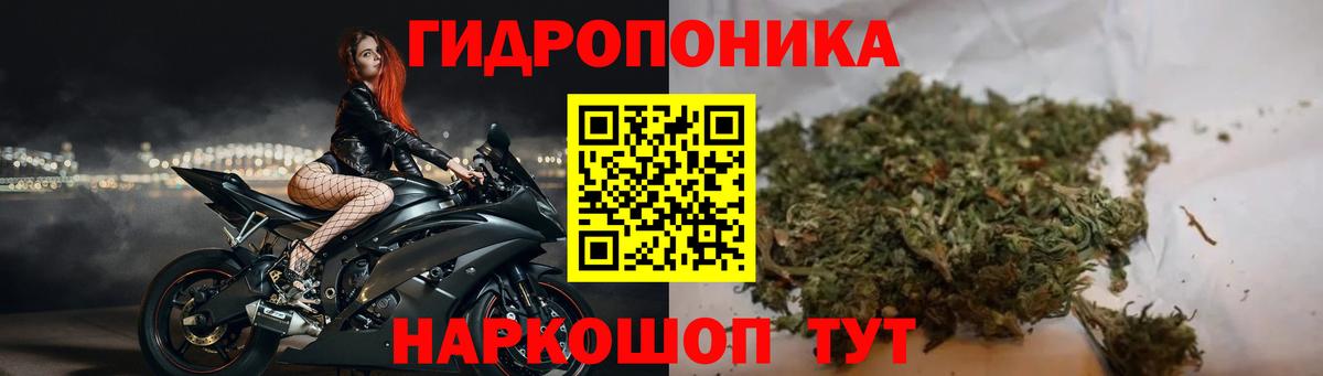 Марихуана MAZAR  Бошки марихуана гибрид  Углич  Вход с VPN  Каннабис AK-47  Бошки марихуана White Widow 